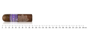 奥拉西奥·布利尔特级珍藏 H 60