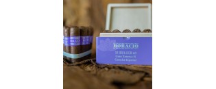 奥拉西奥·布利尔特级珍藏 H 60