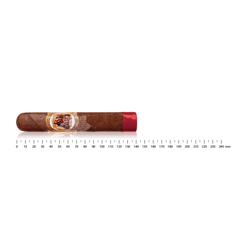 保镖 Habano Robusto Extra
