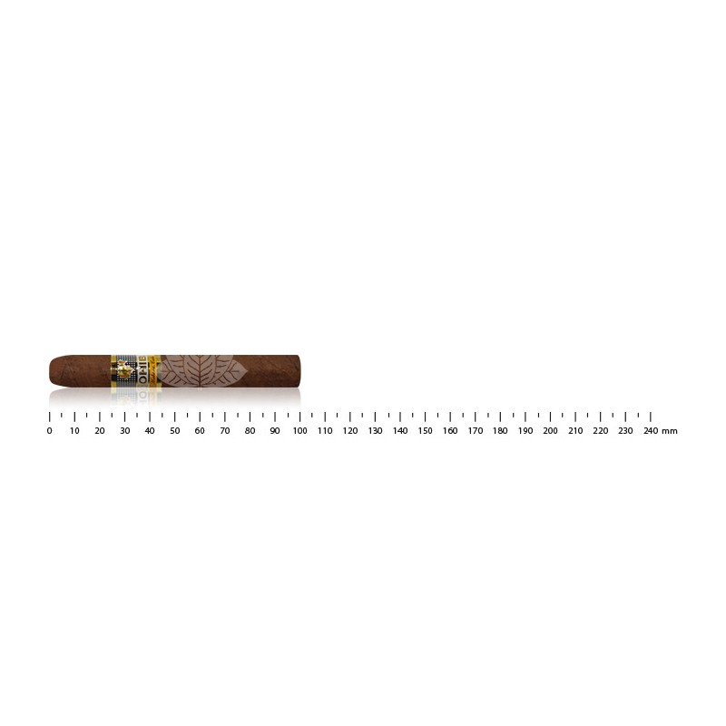 Cohiba 宽幅短裤