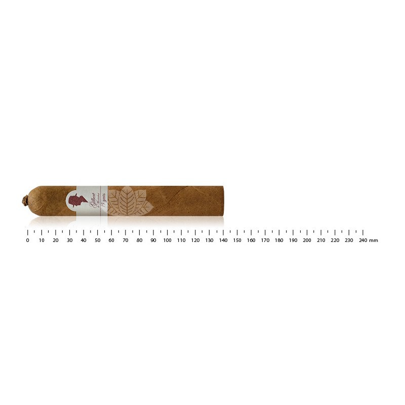 吉尔伯特·德·蒙萨尔瓦 15 周年纪念