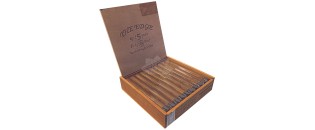 洛基帕特尔边缘康涅狄格州双冠