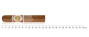 蒙特卡洛罗布斯托俱乐部