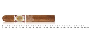 蒙特卡洛托罗俱乐部