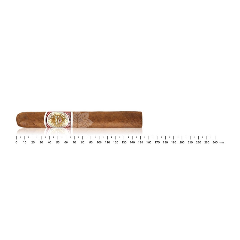 蒙特卡洛托罗俱乐部