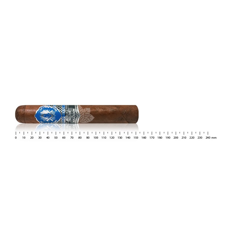 Hiram & Solomon - Fellow Craft - Gran Toro