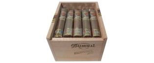 巴尔莫勒尔普罗多米尼加小罗布斯托