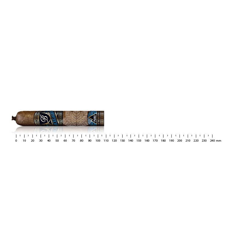 巴尔莫勒尔普罗尼加拉瓜小罗布斯托