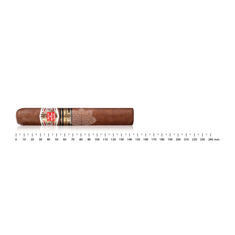 Hoyo de Monterrey Monterreyes No.4 - 2021 年限量版