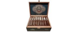 卡萨·麦格纳·奥斯库罗·罗布斯托