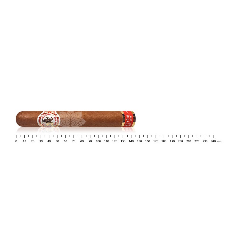 Hoyo de Monterrey Destinos - 旅行雪茄盒