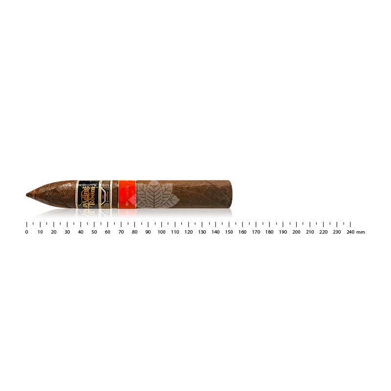 老化室 Quattro Nicaragua Maestro