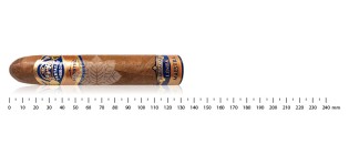 帕塔加斯 Linea Maestra 大师