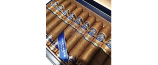 帕塔加斯 Linea Maestra 大师