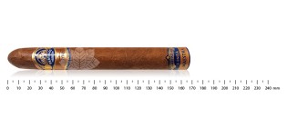 帕塔加斯 Linea Maestra Rito