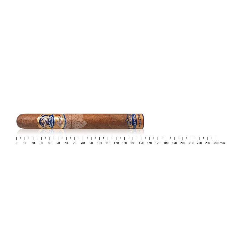 帕塔加斯 Linea Maestra Origen