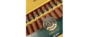 蒙特克里斯托公开赛