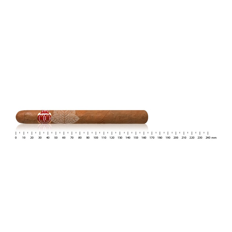 Arturo Fuente 卷发豪华版