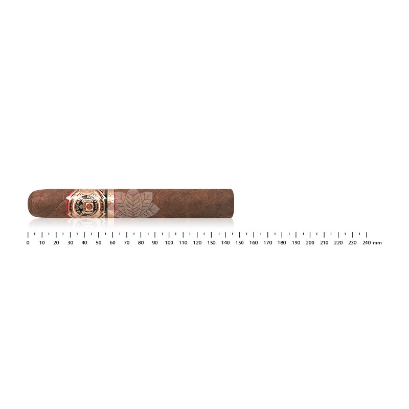 Arturo Fuente Don Carlos Reserva 高级双人罗布斯托葡萄酒