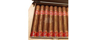 帕塔加斯塞德罗斯蛇年