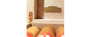 帕塔加斯塞德罗斯蛇年