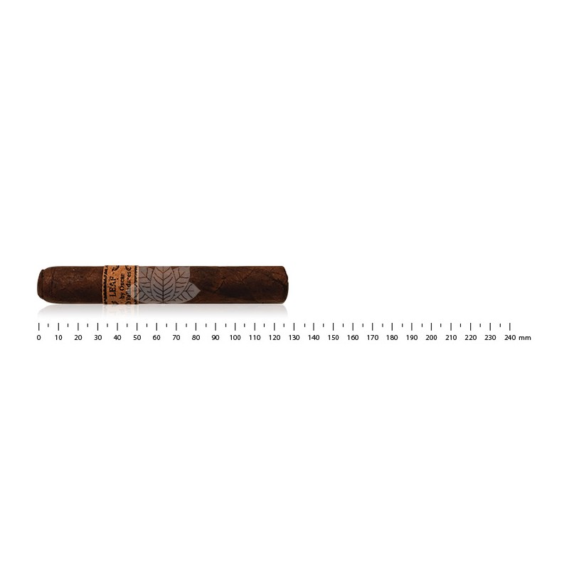 奥斯卡·瓦拉达雷斯·马杜罗·罗布斯托 (Oscar Valladares Maduro Robusto) 的《叶子》