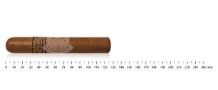 奥斯卡·瓦拉达雷斯 (Oscar Valladares) 康涅狄格州罗布斯托 (Robusto) 的叶子
