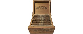 奥斯卡·瓦拉达雷斯 (Oscar Valladares) 康涅狄格州罗布斯托 (Robusto) 的叶子