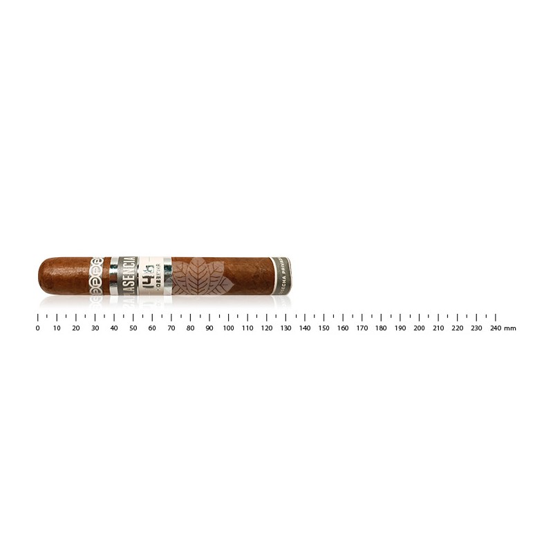 Plasencia Cosecha 146 拉维加 罗布斯托戈多