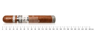 普拉森西亚科塞查 146 圣路易斯托罗