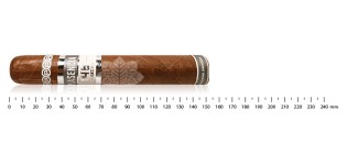 Plasencia Cosecha 146 蒙特卡洛戈多