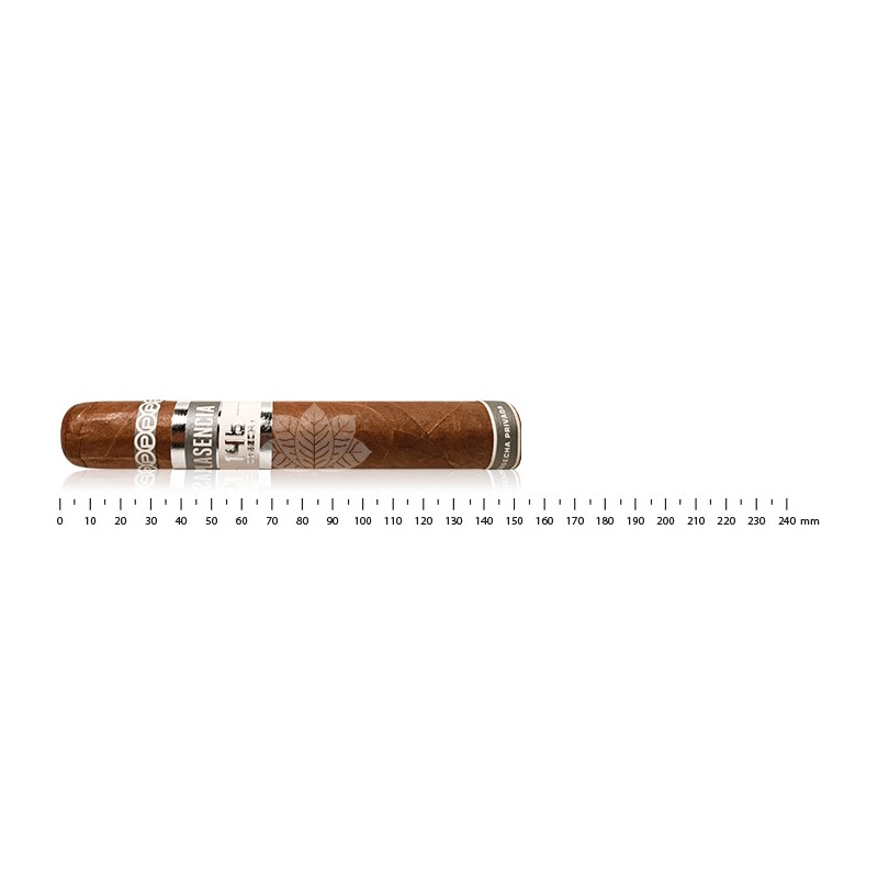 Plasencia Cosecha 146 蒙特卡洛戈多