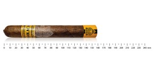 霍拉西奥·潘特拉 54