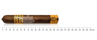 霍拉西奥·潘特拉 60