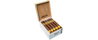 霍拉西奥·潘特拉 60