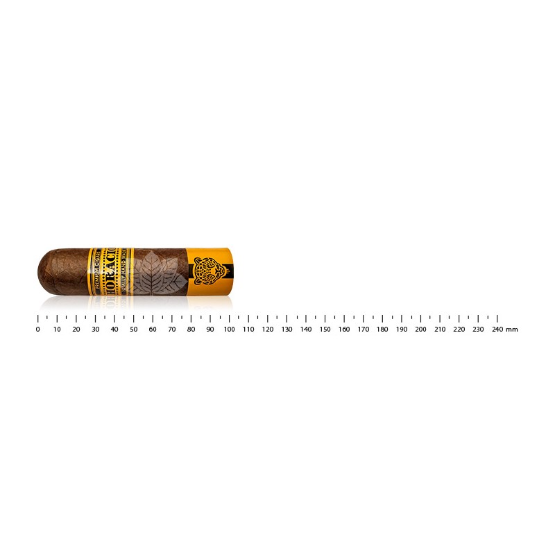 霍拉西奥·潘特拉 64