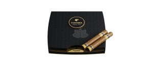 科伊巴维斯托索斯