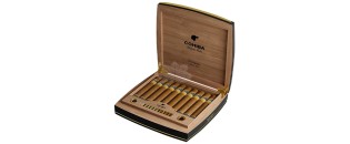 科伊巴维斯托索斯