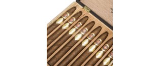 Cavalier Geneva 109 - 瑞士地区版