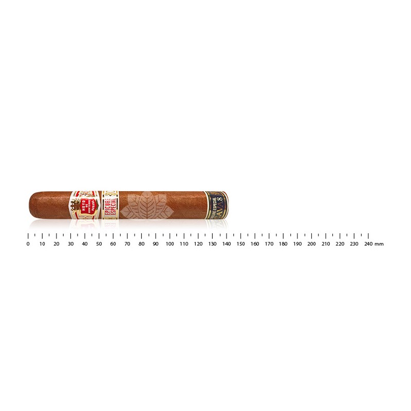 Hoyo de Monterrey Epicure 特别卡瓦 8 号