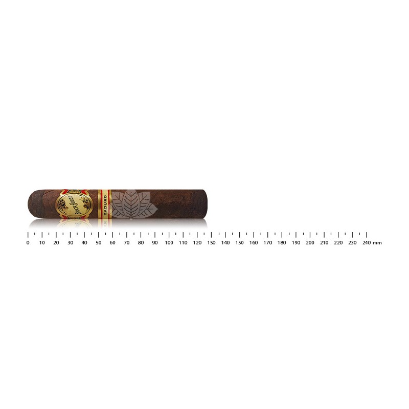 Brickhouse Robusto Maduro