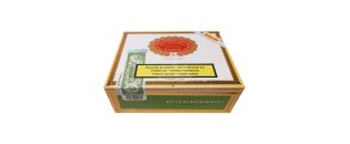 蒙特雷霍约加冕 AT