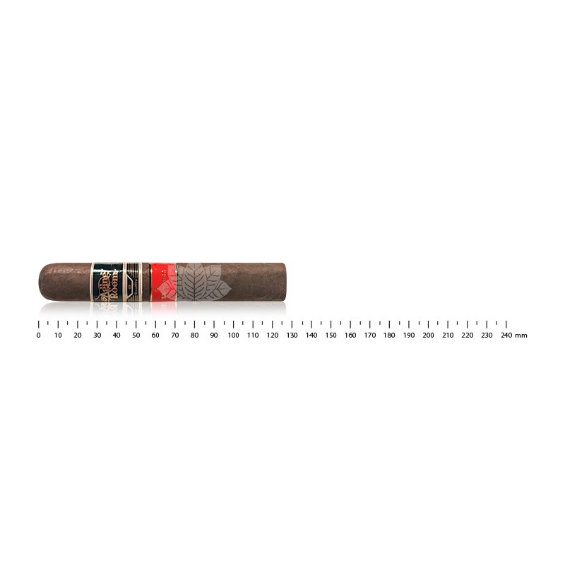 老化室 Quattro Nicaragua Espressivo