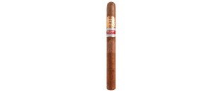 作者：Larranaga Leones ER Espana