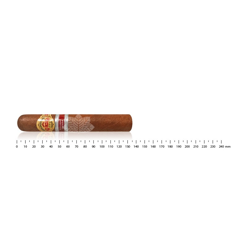 Diplomaticos Coleccion Privada II ER 西班牙