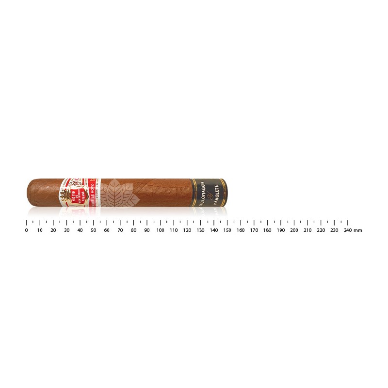 Hoyo de Monterrey 圣胡安陶罗马基亚和马诺尔