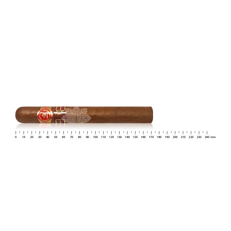 胡安·洛佩斯 150 周年特别选择 LCDH