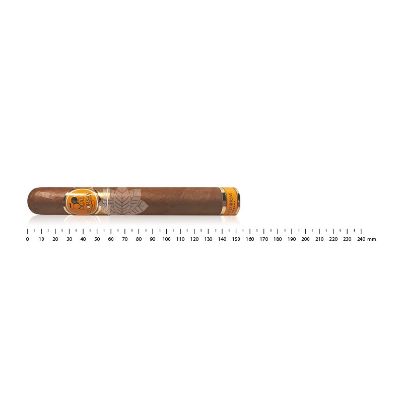 奥赛码头 奥赛特辑