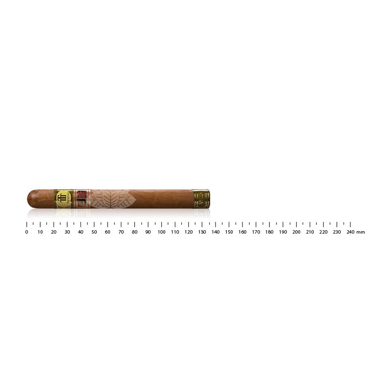 特立尼达别墅 LCDH