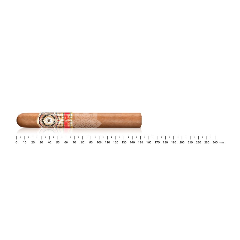 Perdomo 20周年康涅狄格美食家